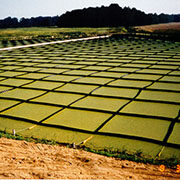 Milestone graphic of green fields