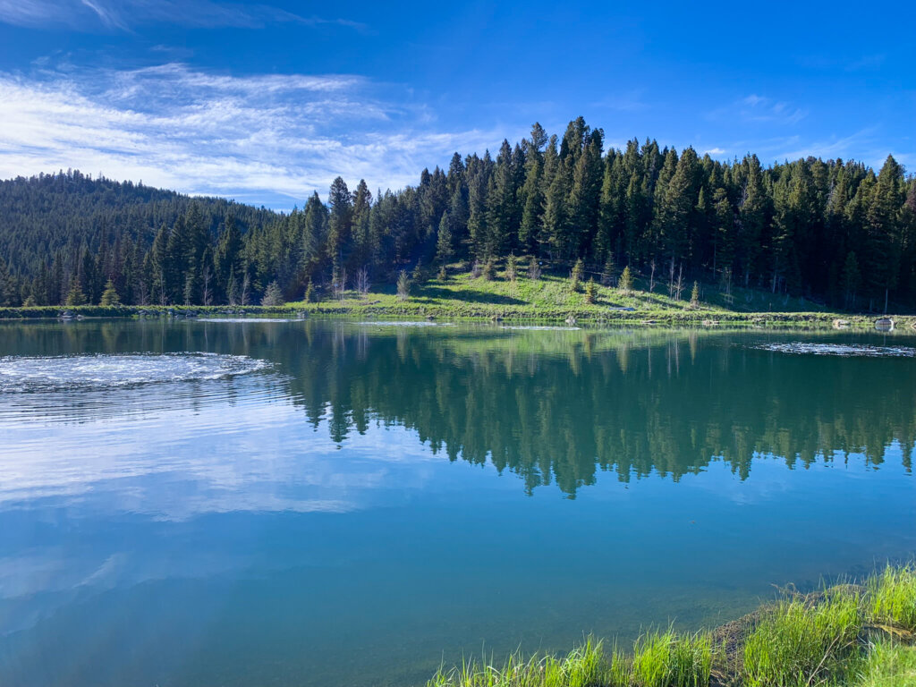 Landscape image of a clear water lake and forest