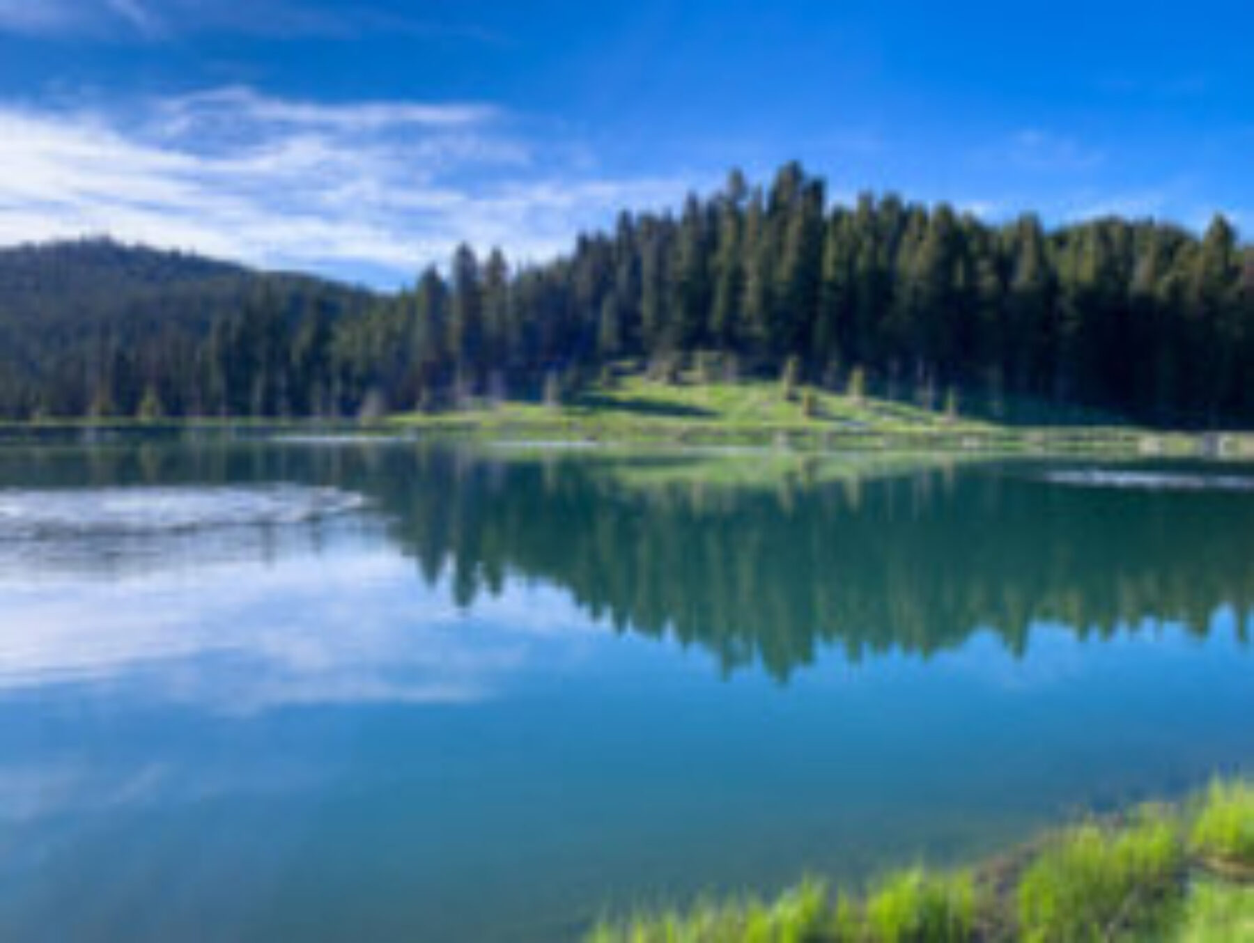 Shoreline view of a lake with trees in the background