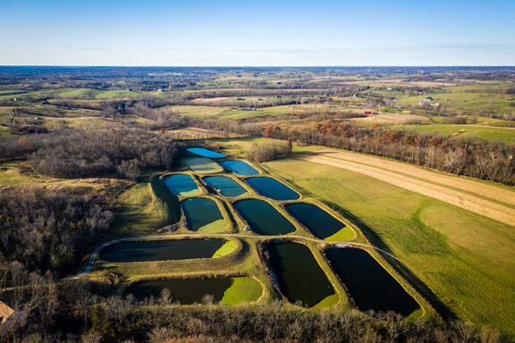 Thirteen waste water treatment lagoons in a rural area with deciduous trees