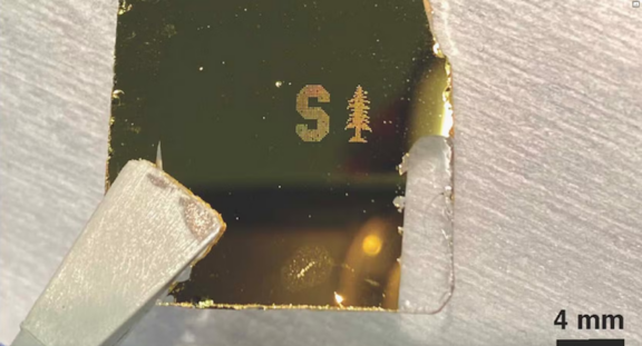 Close up of a microscope slide covered in a dark metallic film with a pixelated letter S and a tree graphic depicting Sanford's monogram and brand mark in gold tone with a forcep holding the slide in place on a silver metallic surface. 4mm inscribed in lower right to convey new research on light-based techniques to identify bacteria in fluids